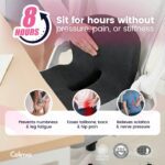 Loved by 12.429+ Customers CelinvaTM Orthopedic Cushion Recommended by DR, Andy | Spine specialis